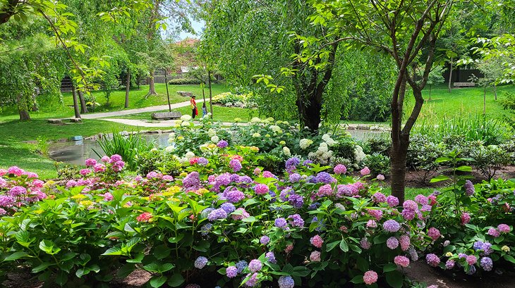 Flowers and trails in Kariya Park