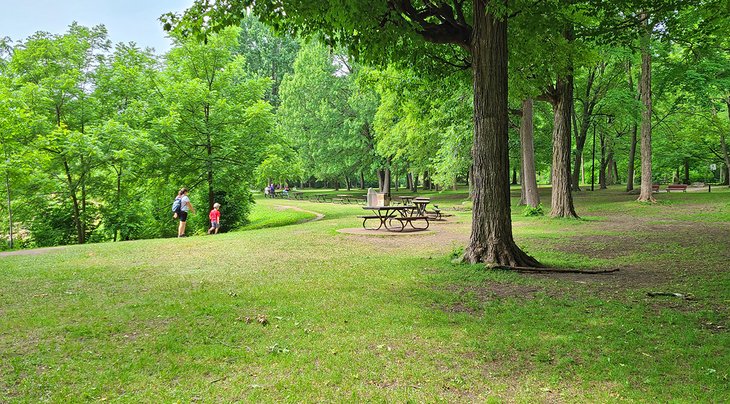 Picnic tables and paths in Angrignon Park