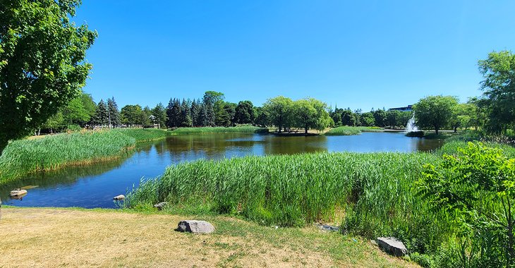 Lake and fountain in Jarry Park