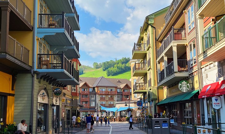 A street in Blue Mountain