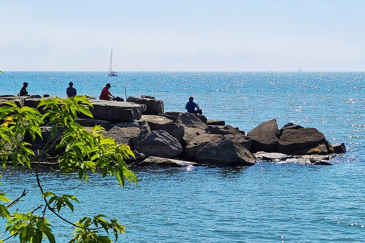 Fishermen in J.C. Saddington Park