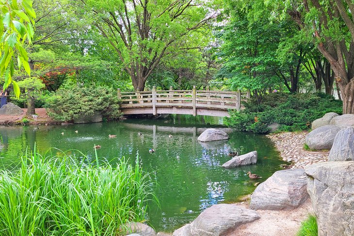 Pond and bridge in Kariya Park