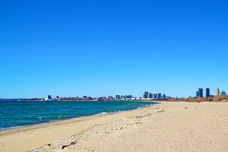 Hanlan's Point Beach