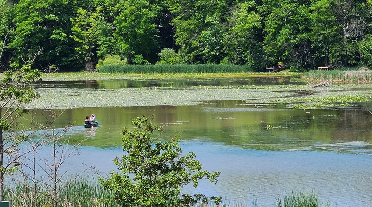 Paddling in Rouge National Urban Park