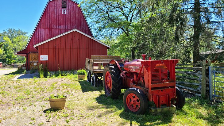 Far Enough Farm