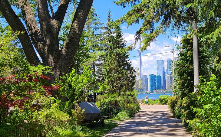 View of CN Tower from a narrow lane on Algonquin Island