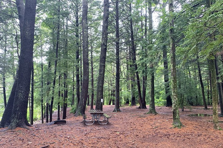 Campsite at Bigelow Hollow State Park