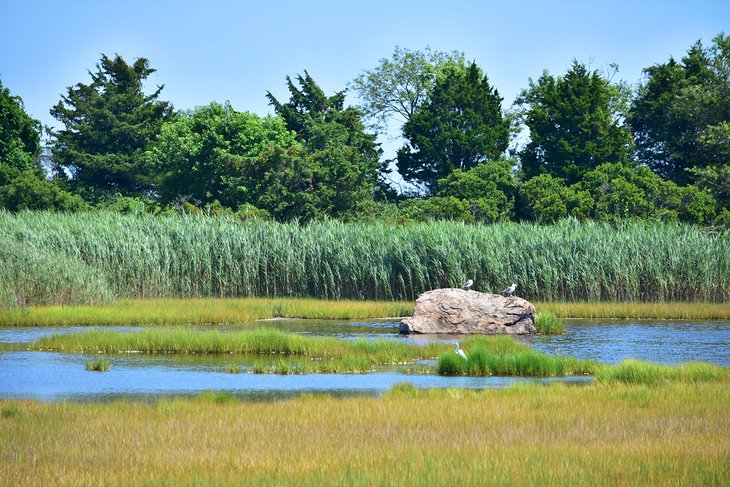 Parc d'État de Hammonasset Beach
