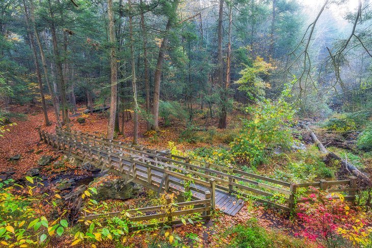 Bridge in Kettletown State Park