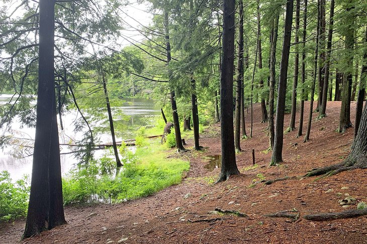 13 mejores parques estatales en Connecticut 13 mejores parques estatales en Connecticut