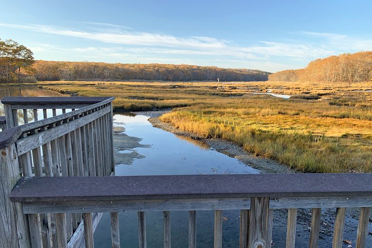 Salt marsh in Rocky Neck State Park