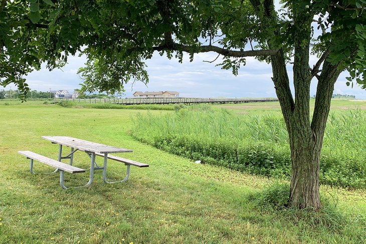 Picnic table at Silver Sands State Park