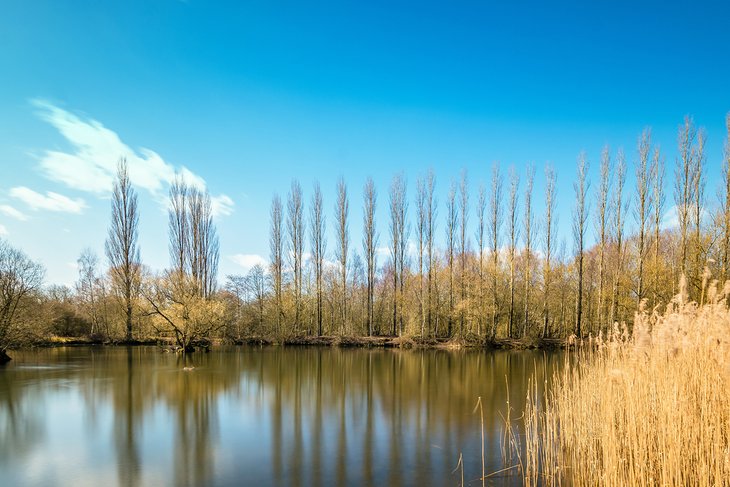 Brandon Marsh Nature Reserve