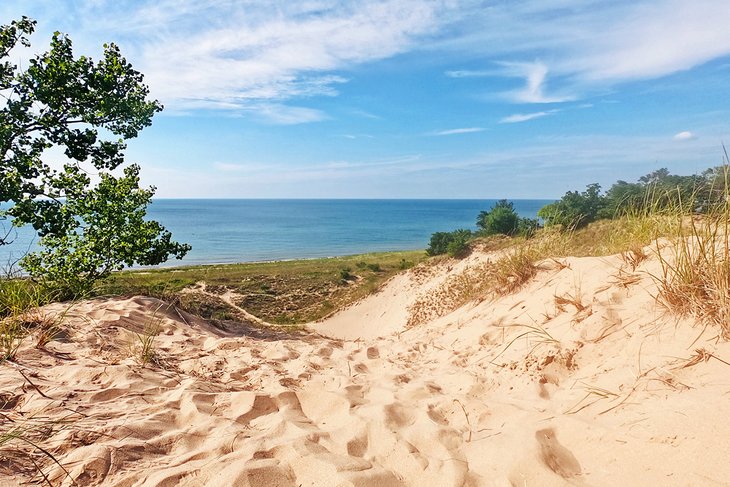 View of Lake Michigan from Indiana Dunes State Park