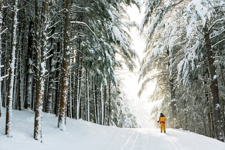 Cross-country skiing in Maine