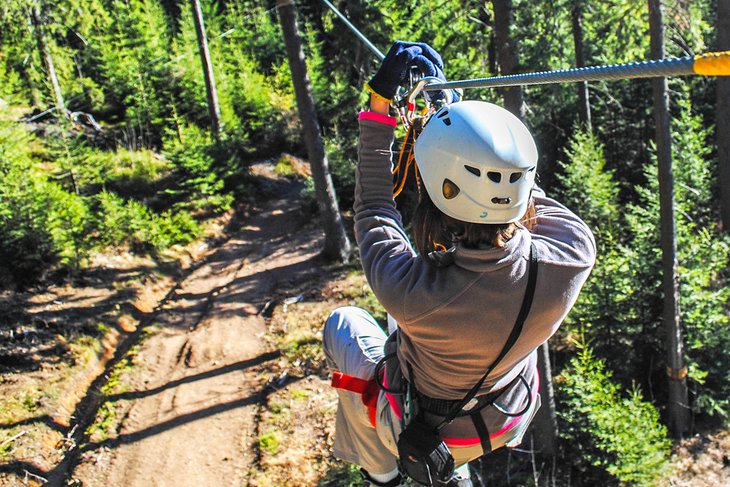 Ziplining through the forest