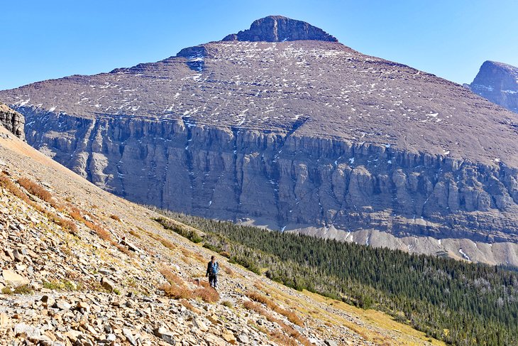 Mountain vista on the Piegan Pass Trail