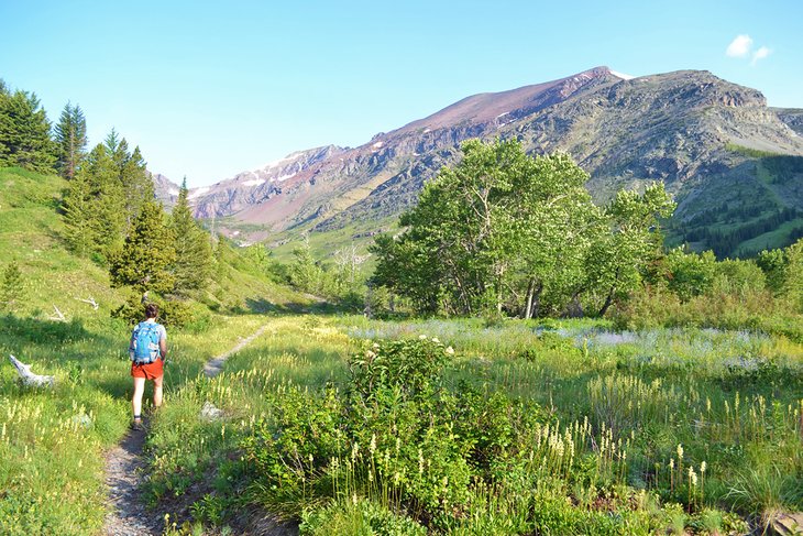 Dawson Pass and Pitamakan Pass