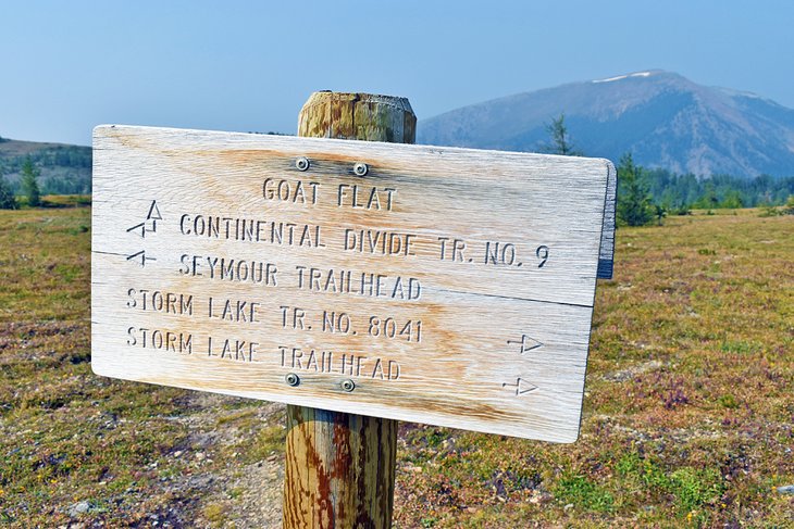 Continental Divide Trail in the Pintler Mountains