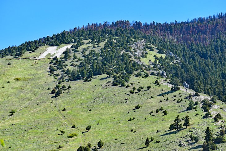 College "M" Trail in Bozeman