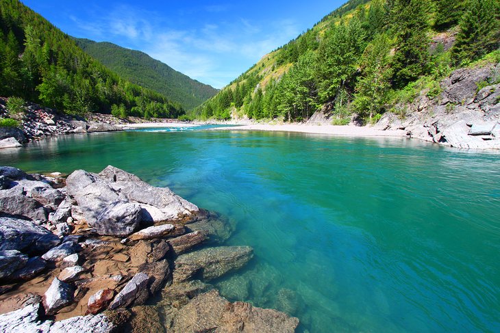 Flathead River in the Flathead National Forest