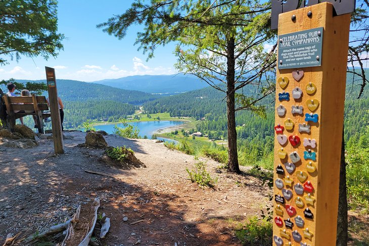 The Whitefish Trail