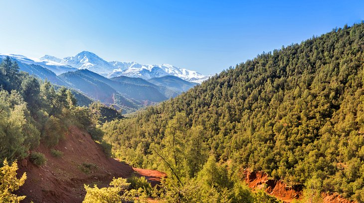 Ourika Valley landscape