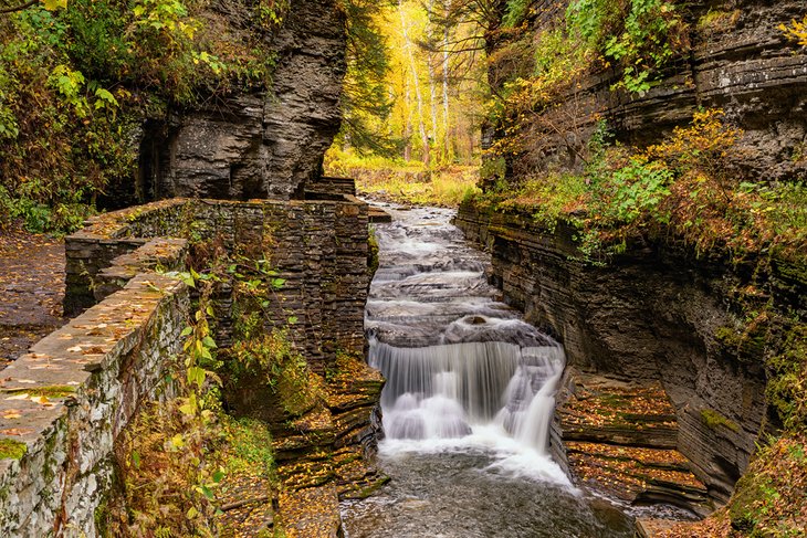 Waterfall in Robert H Treman State Park