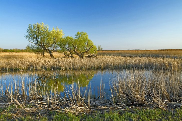 Montezuma National Wildlife Refuge