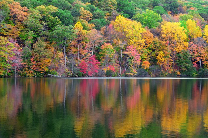 Fall colors at Bear Mountain