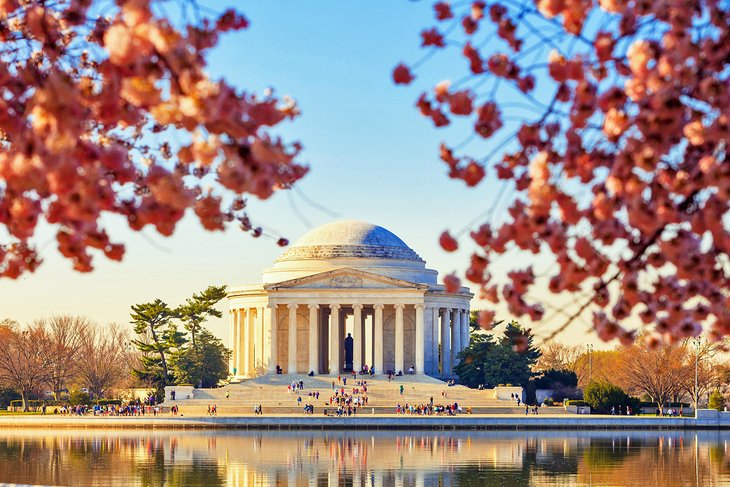 The Jefferson Memorial during the Cherry Blossom Festival