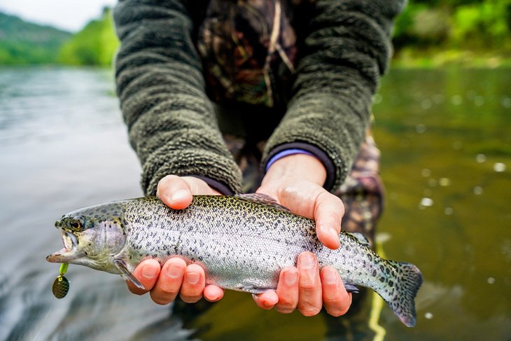 Oklahoma trout catch