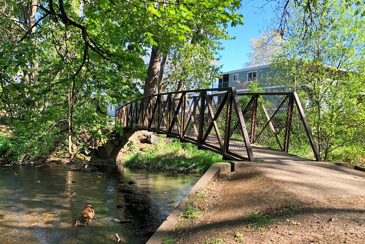 Bridge at Bush's Pasture Park