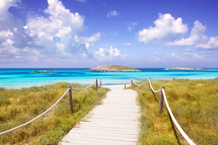 Pathway to Playa de Ses Illetes