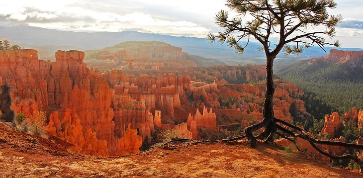 Bryce Canyon National Park