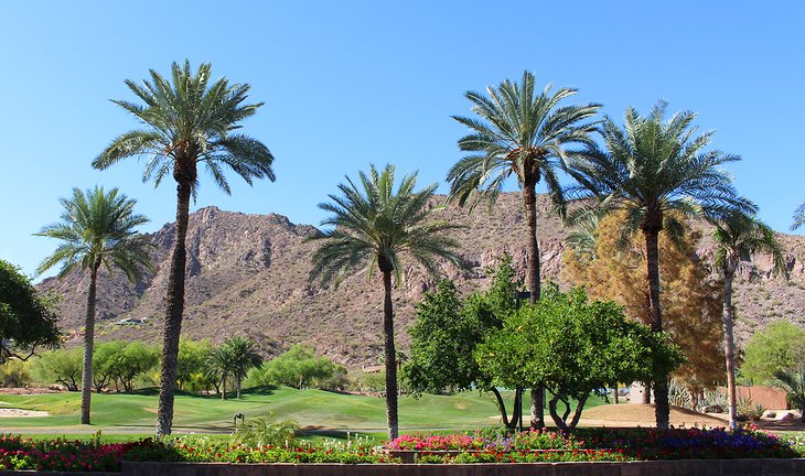 Scenery at a resort in Phoenix