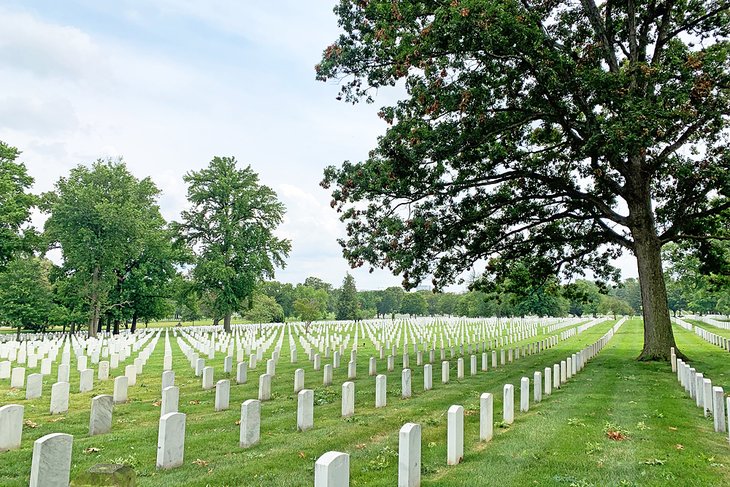 Arlington National Cemetery | Photo Copyright: Meagan Drillinger