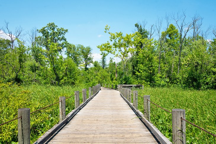 The Mount Vernon Trail