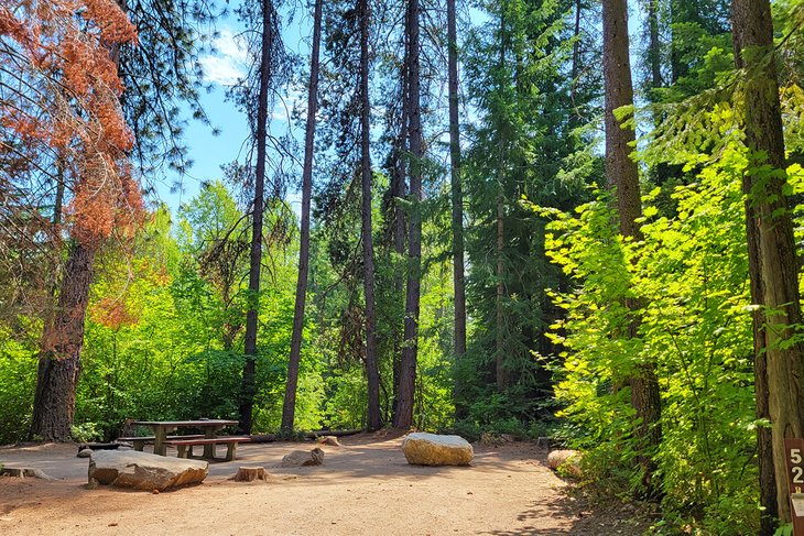 11 mejores campings cerca de Leavenworth, WA