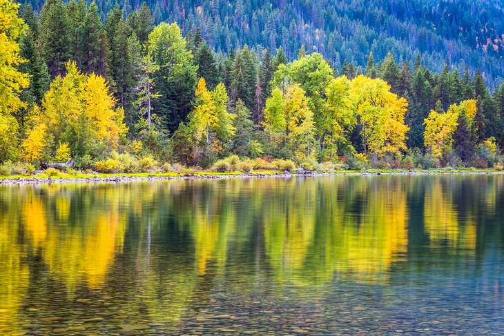 Couleurs d'automne dans la forêt nationale d'Okanogan-Wenatchee