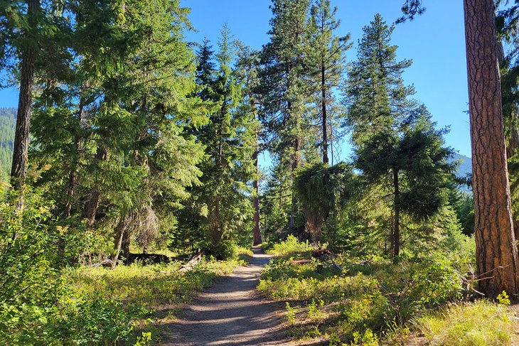 Icicle Gorge Loop Trail