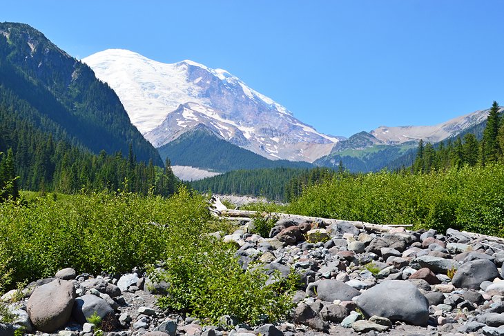View of Mount Rainier from the White River Campground