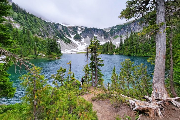 Bench Lake on a foggy day in Mount Rainier National Park