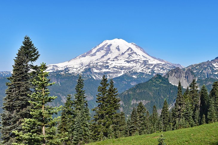 Mount Rainier seen from Shriner Peak Trail