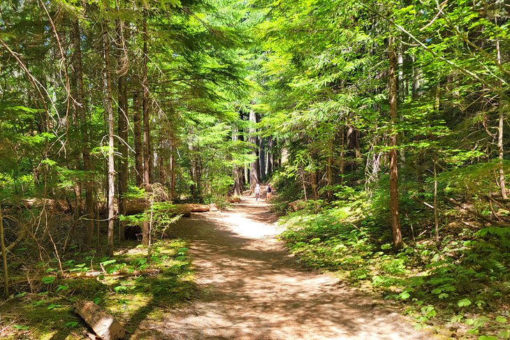 The trail to Silver Falls