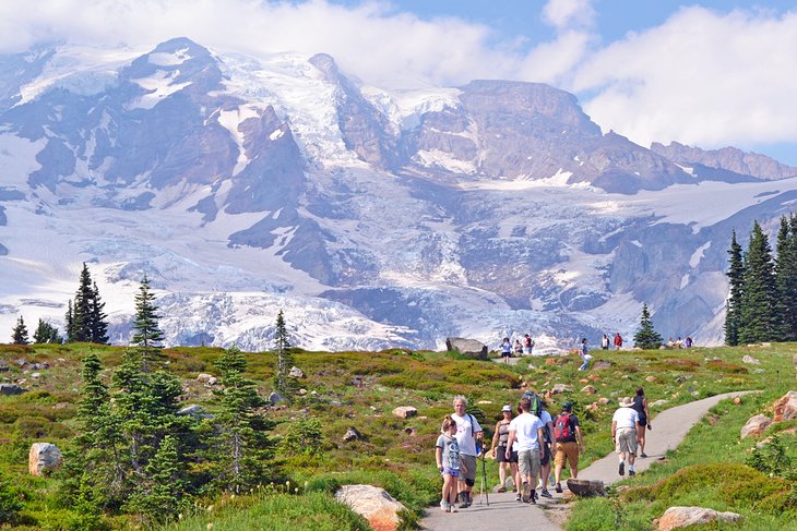 Skyline Trail