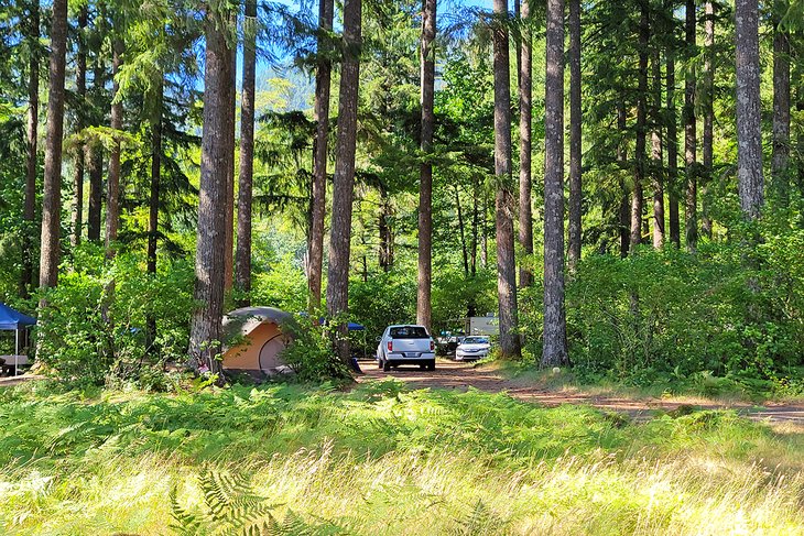 Beaver Bay Campground