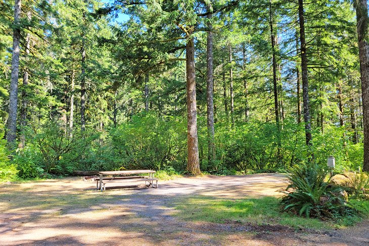 Cougar Park &amp; Campground
