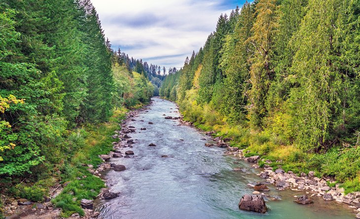 Cispus River