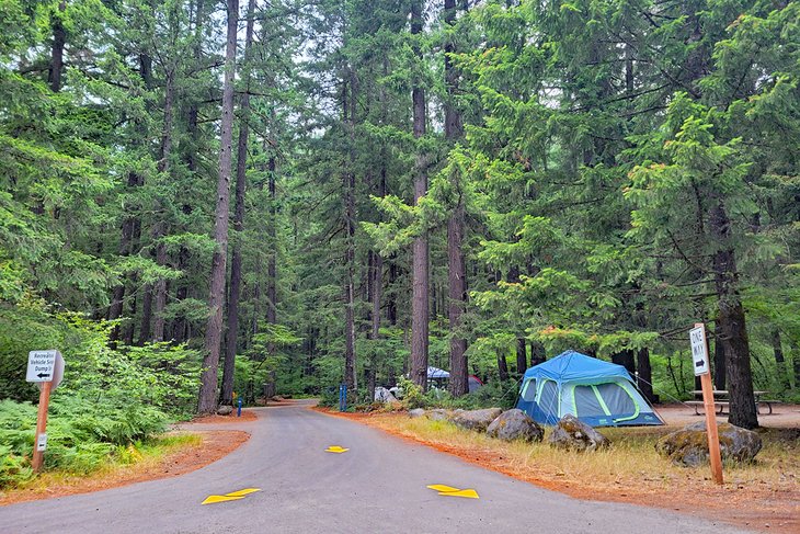10 mejores lugares para acampar cerca de Mount St. Helens, WA